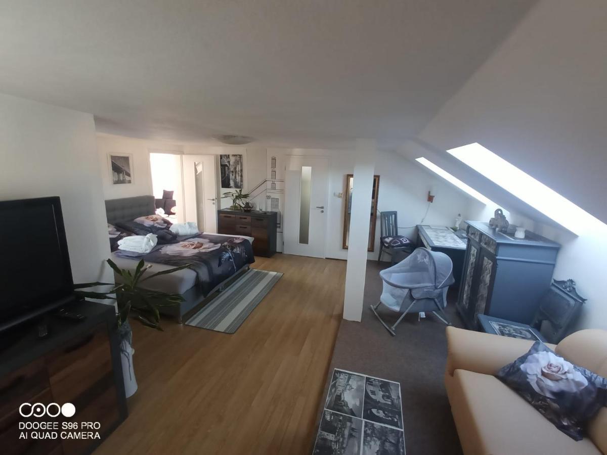 룸부르크 Podkrovni Apartman Tereza 아파트 외부 사진