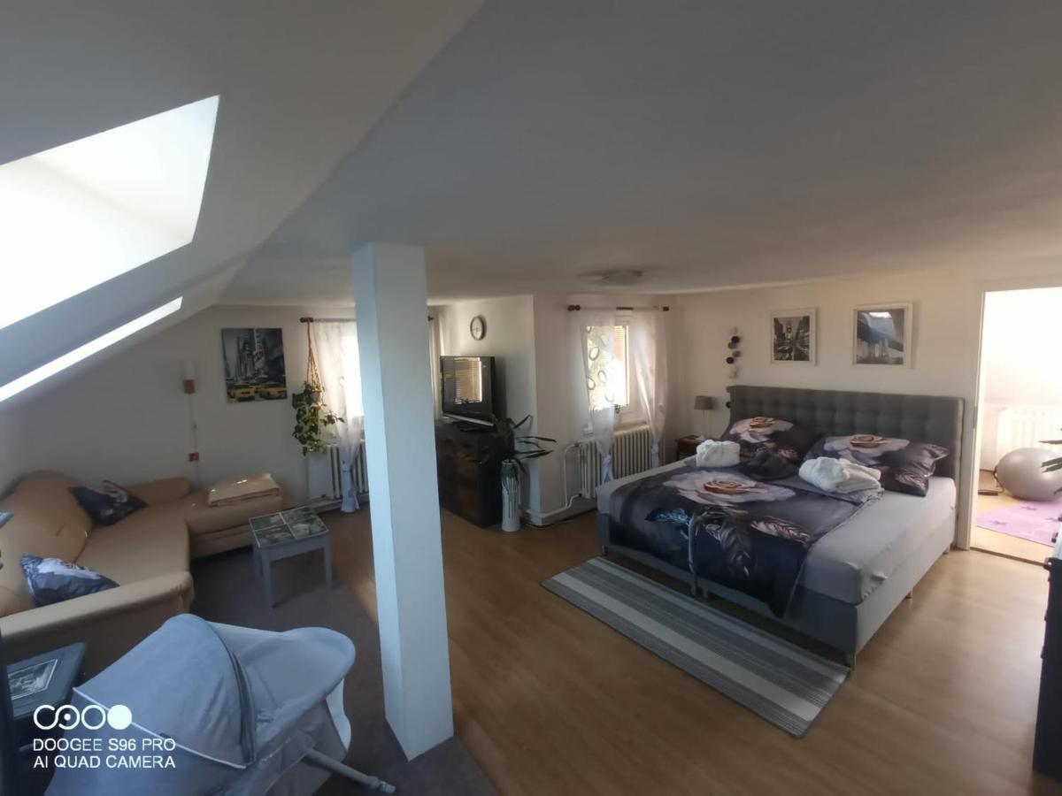 룸부르크 Podkrovni Apartman Tereza 아파트 외부 사진